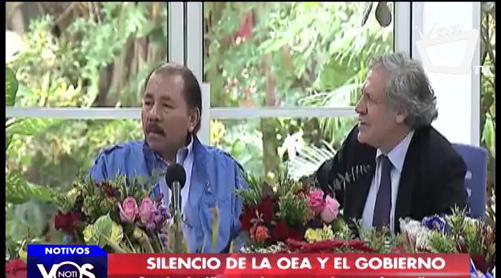 "El trabajo se hace en silencio para obtener mejores resultados", dice experto sobre OEA