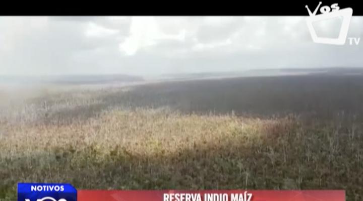 Reserva Indio Maíz: a 6 meses del incendio