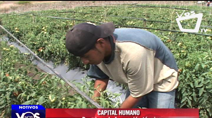 Capital humano nicaragüense requiere de formación técnica