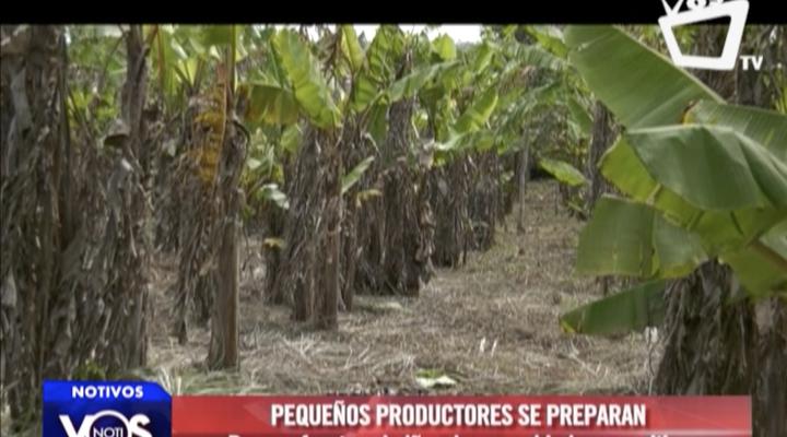 Pequeños productores se preparan para enfrentar a El Niño y han cambiado sus cultivos