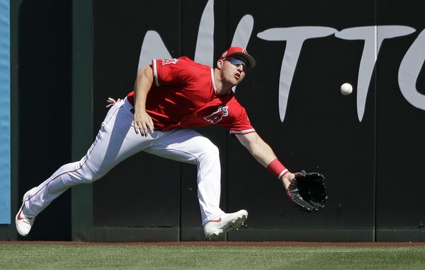 Trout también es un solido jardinero central 